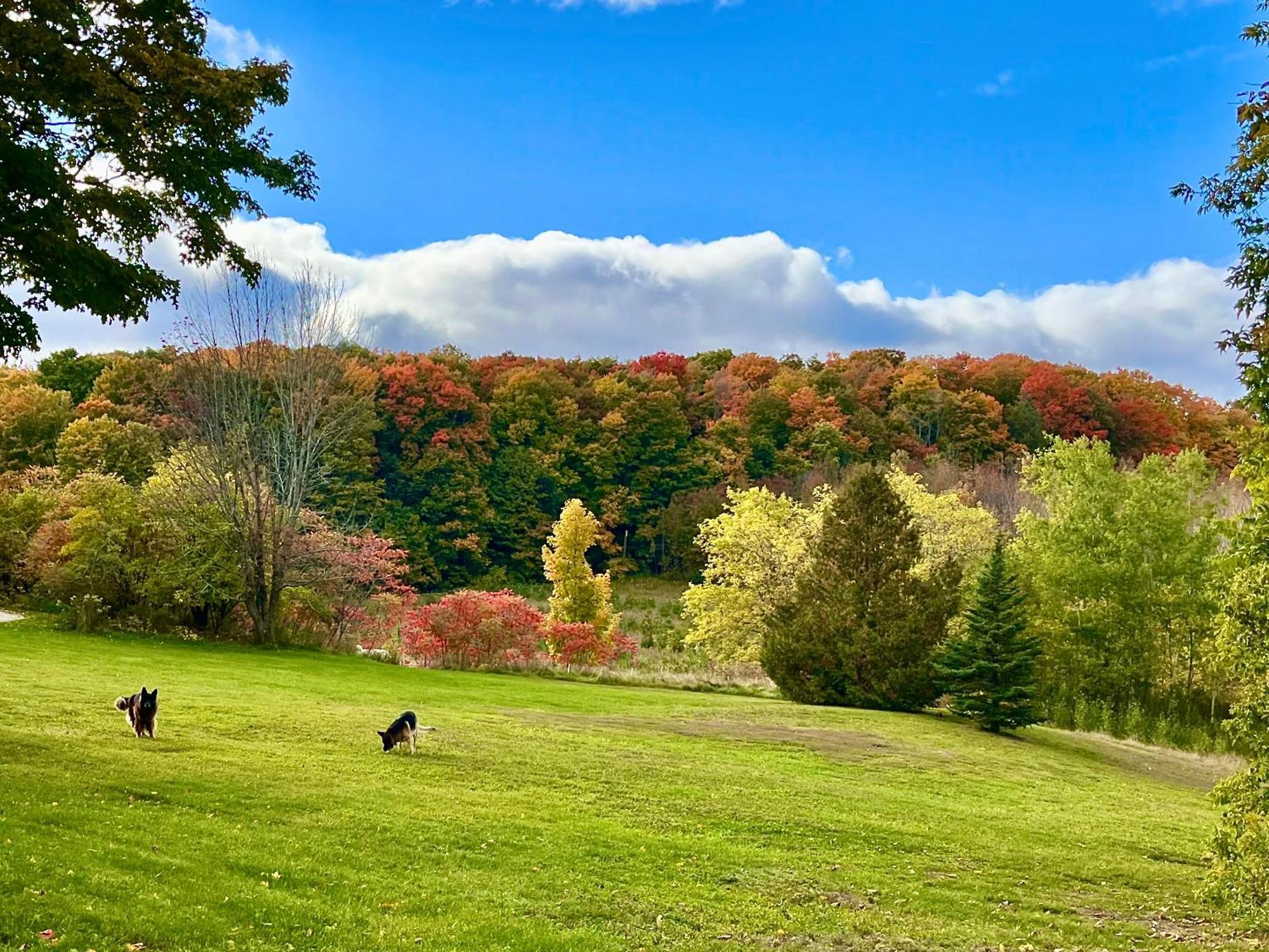 Caledon Manor And Country Inn المظهر الخارجي الصورة