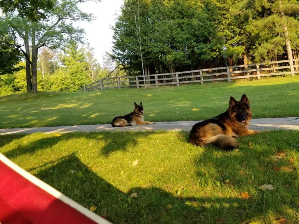 Caledon Manor And Country Inn المظهر الخارجي الصورة